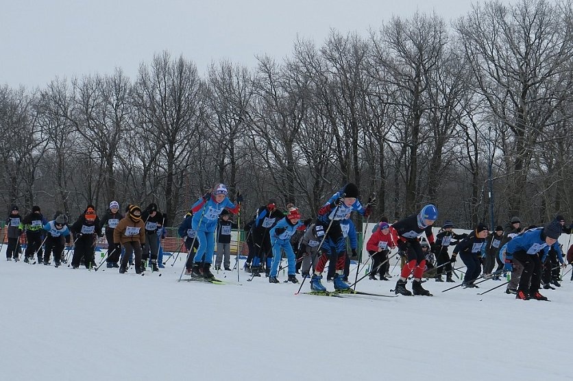 Гонка «Лыжня России – 2024» прошла 10 февраля по всей стране..
